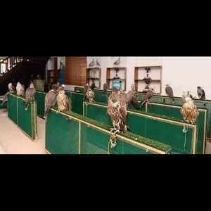 Meet your Posher, Abdalkhalig